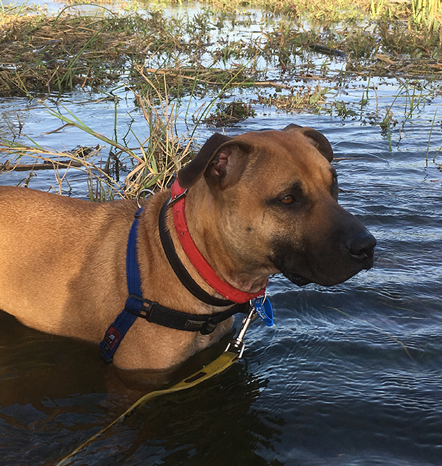 Gregory pictured in water out on a bushwalk